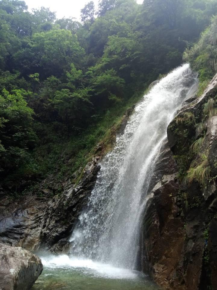 救援小袋熊